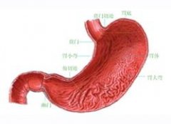 ���Ը�к�Ƿ�Ҫ����