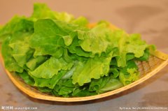 �׳�Ĳ�������Щ