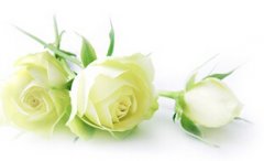 ǳ����θ�׵ľ������Ʒ���