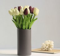 ����θ������ЩΣ����