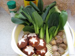 �ڳ�����