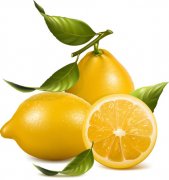 ������θ��Ҫ��μ��