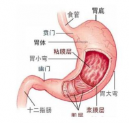 һ��ҪԶ����Щ������������Сϰ��