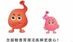 θ�͵����Ʒ��� ����ʳ�Ʒ�����θ������